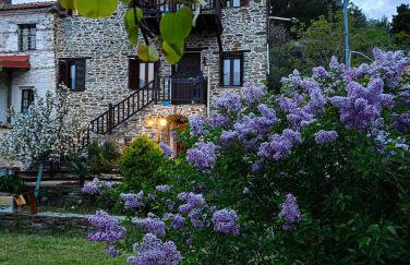 Αρχοντικό Πανόραμα - Foto 1