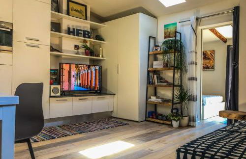 Healthy Flat Bologna - Tower Skyline View - Photo 2