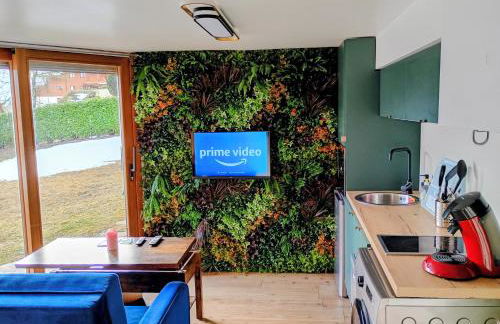 Jungle room au centre des Carroz - Foto 1