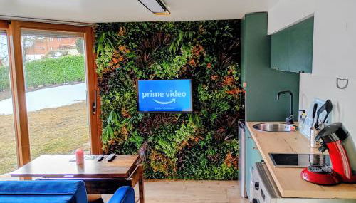 Jungle room au centre des Carroz - Foto 1