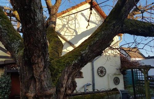 Ferienwohnung Zum-alten-Kirschbaum - Foto 12