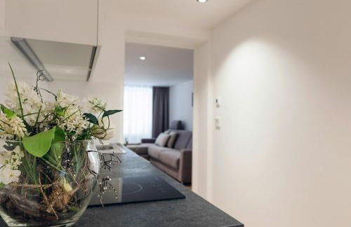 Maximilian Apartments Lindau - Foto 33