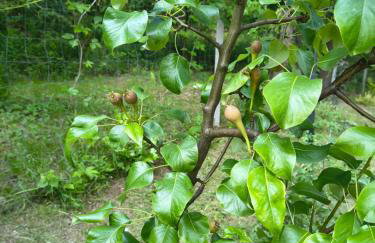 Hacienda domek całoroczny z jacuzzi w lesie pod Rzeszowem - Foto 36
