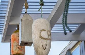 Blue Pacific - Foto 16