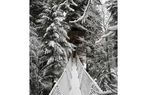 Cabanes des Volcans - Foto 22