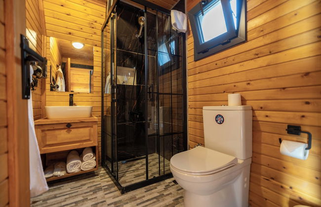 Roseira Bungalov - Photo 5