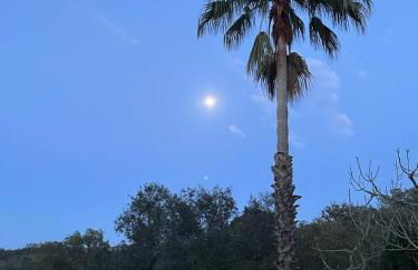 Três Figos - Foto 66