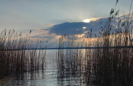 Villa Koprowo - mit direktem Seezugang, Sauna & Whirlpool - Foto 65