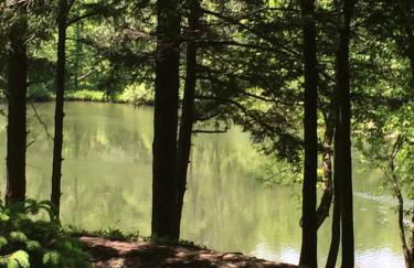Luxurious Riverfront Cottage with a Hot Tub and a Fireplace near the Twin Lakes, Connecticut - Foto 28