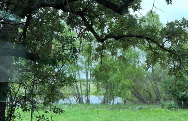 Relaxing Ranch Friendly Animals Modern Stay Cabin 1 - Foto 38