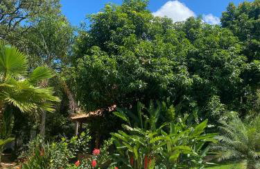 Casa de Campo Pampulha - Foto 23