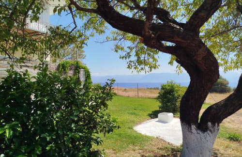 Nereids Apartments-Pronoe - Foto 38