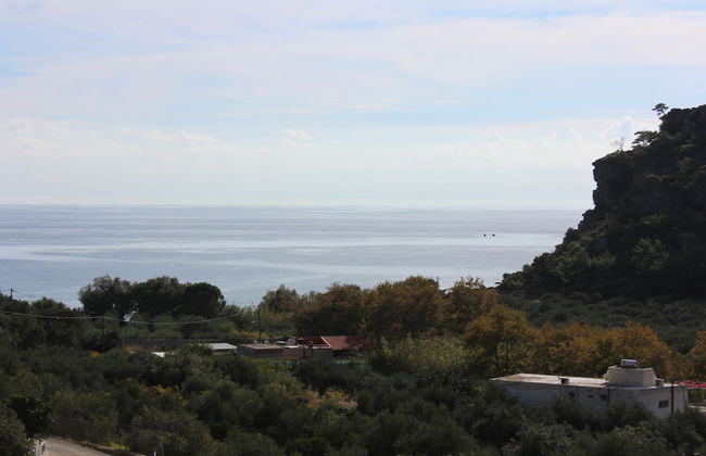 Aaron Studios Apartments - Photo 57