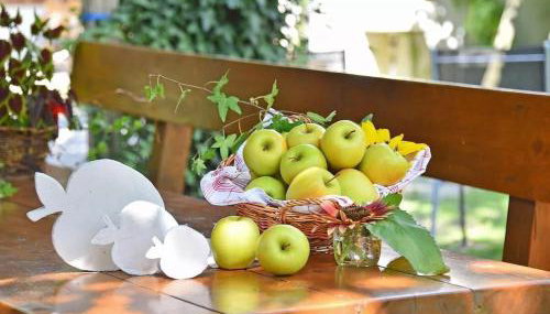 Wohnung Gravensteiner Schnalserhof - Foto 2