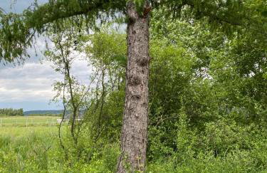 Lawendowy Domek TP - Foto 53