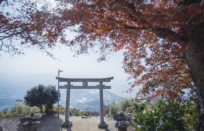 Sanuki mansion - Foto 22