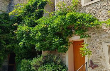 Domaine Provençal "Le Timon" - Foto 28