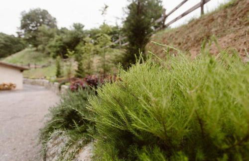 La Fontana, descubre Cabarceno y Cantabria - Foto 23