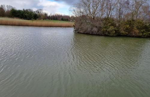 Lakeside View - Foto 13