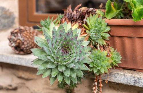 Casa Ruperto - Foto 51