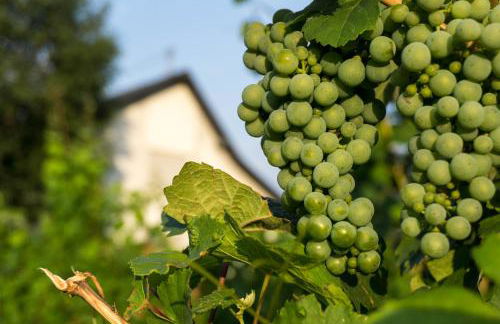 Romantischer Aufenthalt mit Blick auf den Weinberg - Foto 42