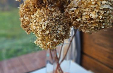 Strefa relaxu u JJ - Foto 23