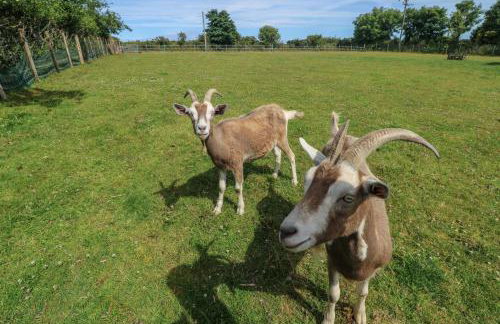 The Reading Room - Foto 31