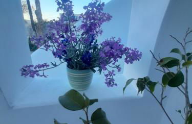 Atlantida Spacious Flat - Foto 30