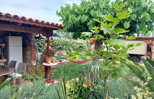 Mozart House Studio - Foto 51