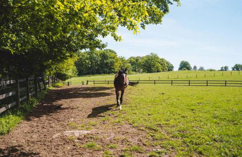 Le gîte d'Etienne - Foto 11