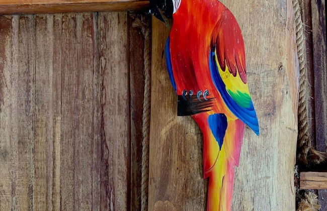 Pousada Chapada dos Veadeiros - Foto 7