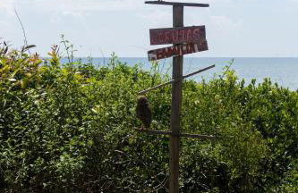 Casa | Ponta da Fruta | Praia, Lagoa, Lazer - Photo 80
