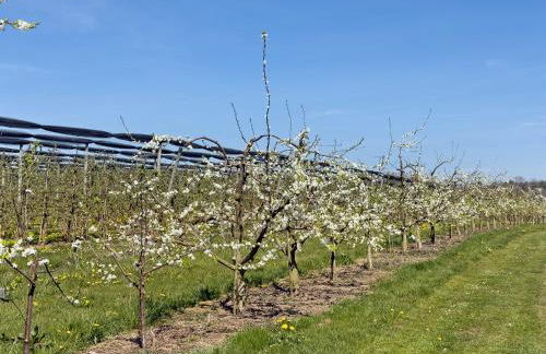 Ferienwohnung Plocher - Foto 24