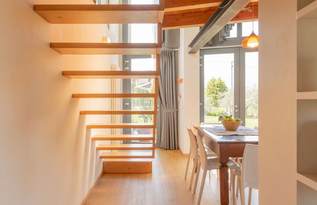 Baila (CCO511) - Foto 4