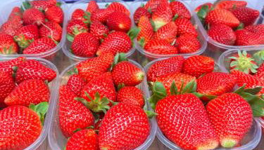 Villa del Limone , Mondello Via deucalione 18 ,via Miseno 18 - Foto 2