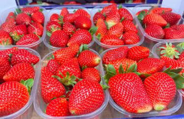 Villa del Limone , Mondello Via deucalione 18 ,via Miseno 18 - Photo 2