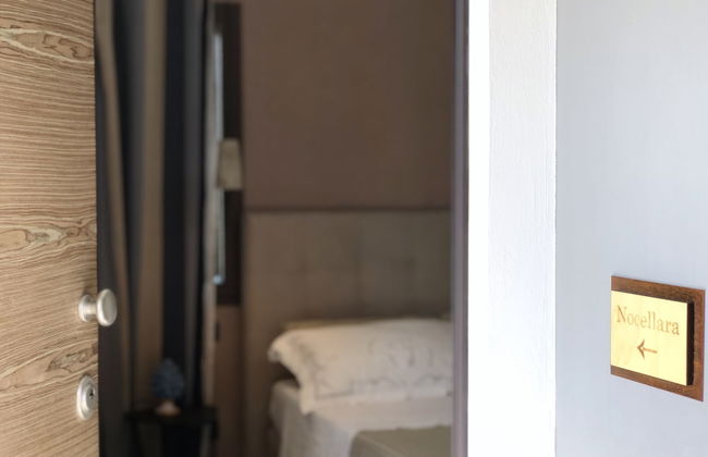 Oikos in Terre di Zaccanello - Photo 22