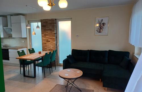 Willa Przygoda - Photo 68