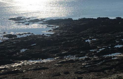 Bay View, Millendreth Looe Cornwall - Foto 11