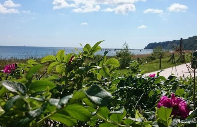 Apartment Baltic Sea - Foto 24