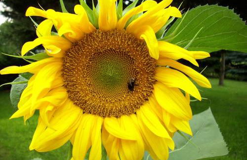 Ferienhaus Frado - Foto 16