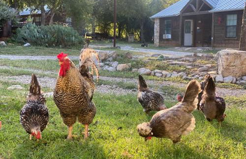 Cabin 6 The Roost Cabins - Foto 22