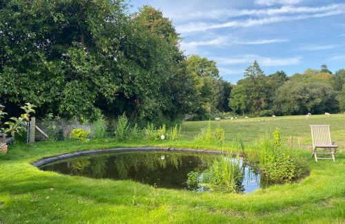 Charming artist’s cottage - Foto 54