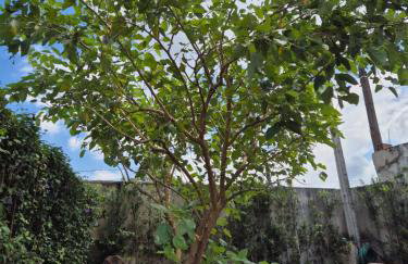 Casa Raízes - Atibaia - Foto 55