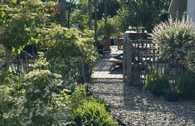 Wald Lounge - Foto 62