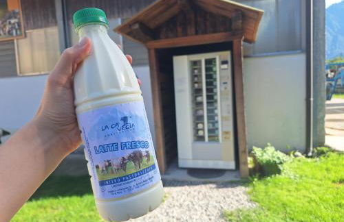 Agriturismo La Ca' Vegia - Foto 17