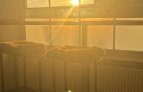 Deichhaus Nina - Foto 45