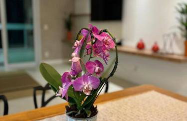 Apartamento Jurerê Internacional, Florianópolis - Foto 9