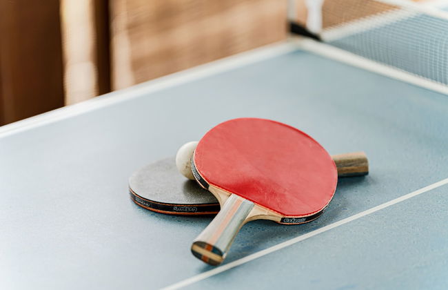 Vibrant Vista - Foto 29