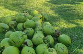 Maravilhosa Casa Pé na Areia 2 - Foto 42